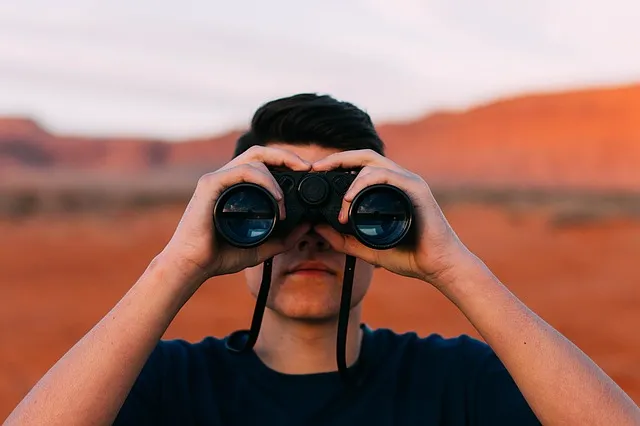 searching