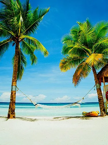 beach